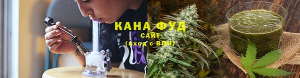 молекула духа Бронницы