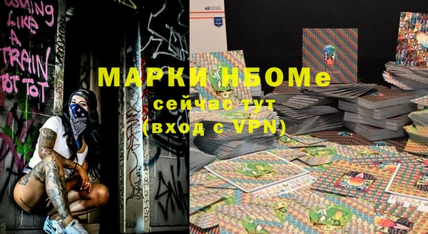 молекула духа Бронницы