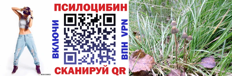 купить наркотики сайты  Михайлов  Псилоцибиновые грибы прущие грибы 